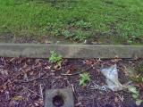 image of grave number 397237